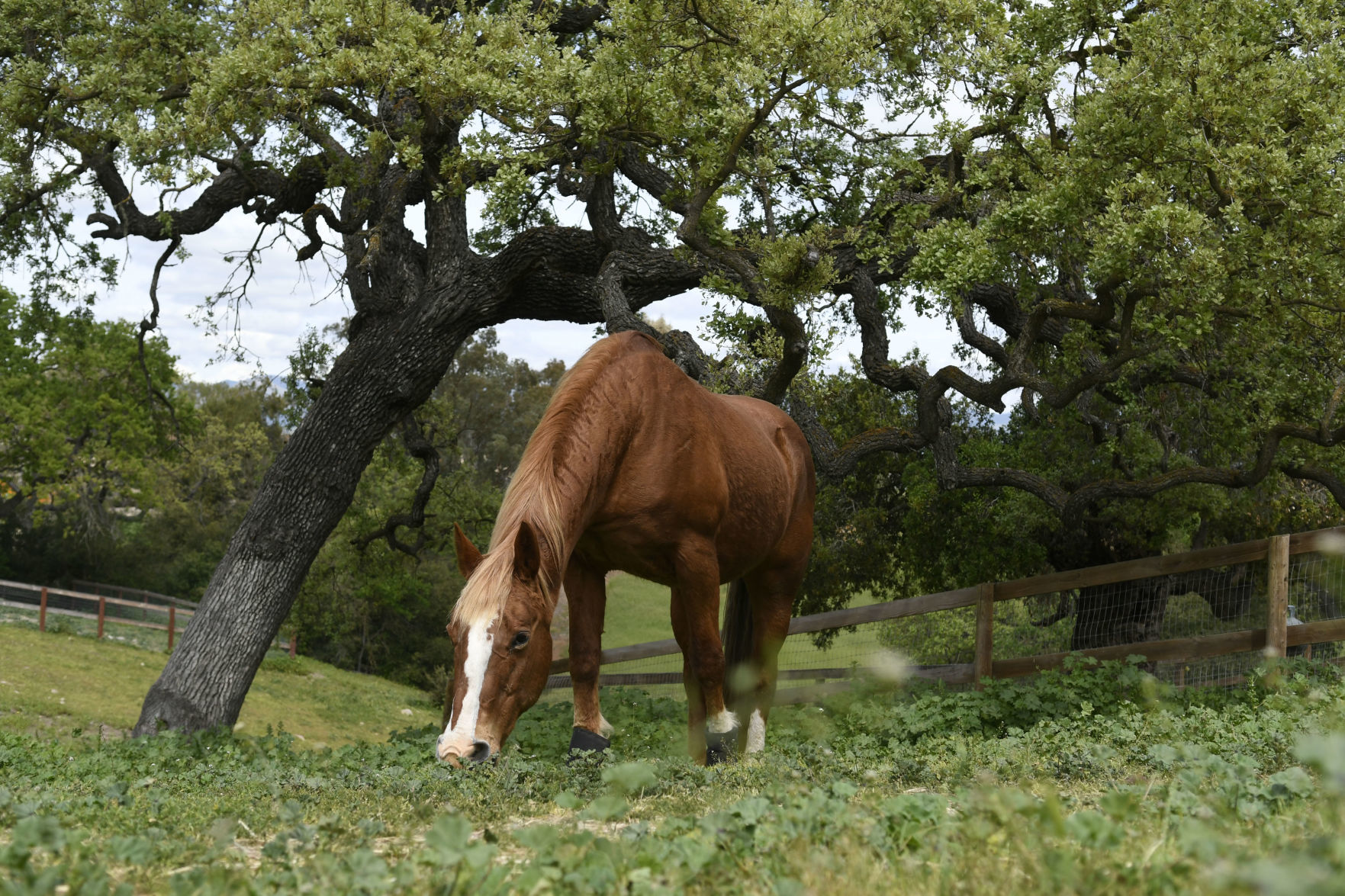 040319 Happy Endings 03.jpg